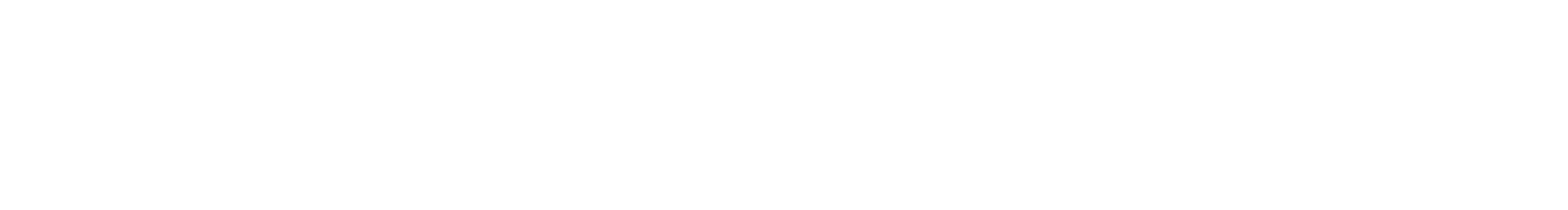 Logo White
